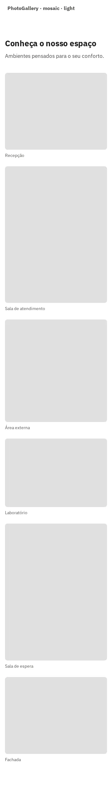 Captura da galeria: seção PhotoGallery, variante mosaic com legendas, em 360 px